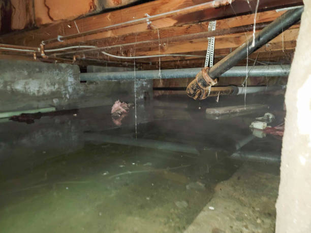 Best Local water damage restoration  in Church Hill, MD