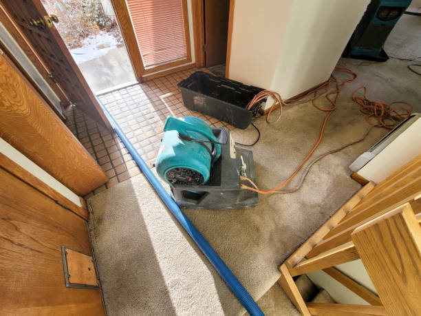 Best Professional water damage repair  in Church Hill, MD