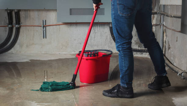 Best Professional water damage repair  in Church Hill, MD