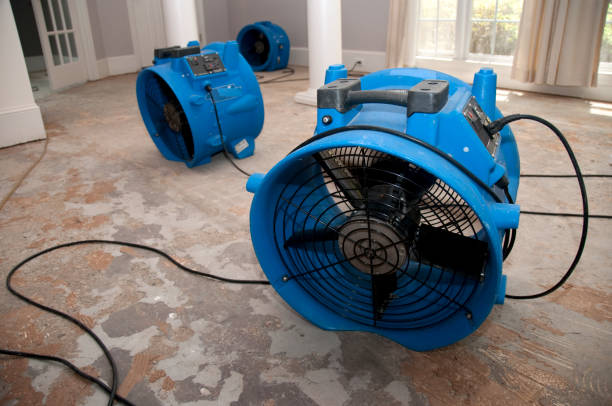 Church Hill, MD Water damage restoration Company