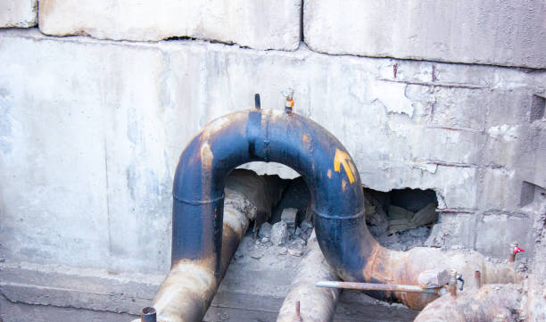 Best Mold removal after water damage  in Church Hill, MD