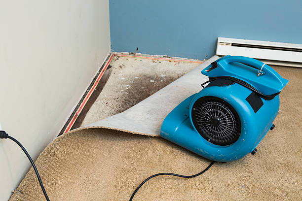 Water damage restoration experts in Church Hill, MD